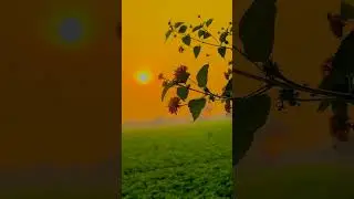 Pal pal Dil#arijitsingh#youtubeshorts