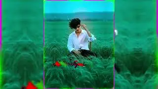 🎥 Manipuri song video XML🌺 Thamoi Ningsinglunu Nangsu Kainabada💐 Nokhrabi New🥀 SK Thoiba
