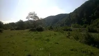 Лягушки квакают (Бзыбь Абхазия) - Frogs croak (Bzyb Abkhazia)