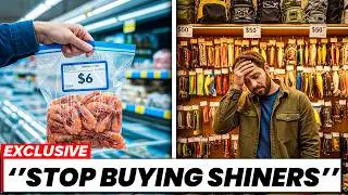 Bait Shops HATE This $6 Shrimp Trick