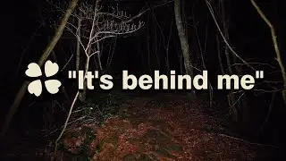 Creepy TRUE 4chan Horror Stories (Vol. 3)