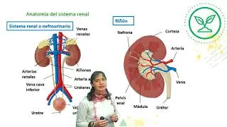 BIOLOGÍA 