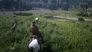 RDR Online: Running with the Locals
