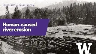 Historic logging site shows first human-caused bedrock erosion along an entire river
