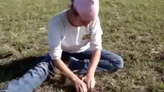 Shawna Finds a Springwater Meteorite on the surface during our Meteorite Hunt
