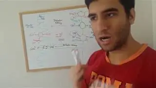 Chloride Channel Cystic Fibrosis (Explained)