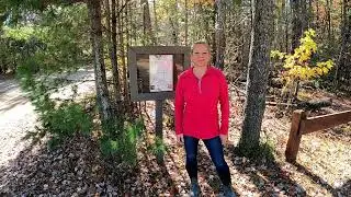 Ambrose Lake Trails with great fall colors, ATV Riding in West Branch Michigan