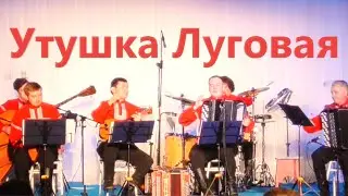 УТУШКА ЛУГОВАЯ Гридин в исполнении Ансамбля русских народных инструментов РОССИЯ город Мурманск