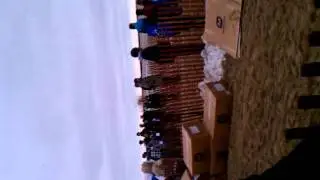 Polar Plunge 2011