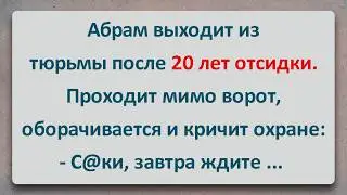 ✡️ Абрам Отсидел 20 лет! Еврейские Анекдоты! Анекдоты Про Евреев! Выпуск #460