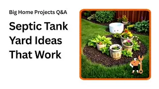 Easy Ways to Beautify Your Yard Over a Septic Tank