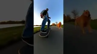 Loyal Dog Runs Beside Skateboarder | GoPro 4K POV Ride Through the Streets #dog  #sora2 #pov