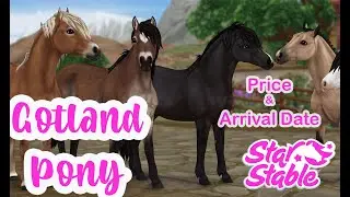 Star Stable Updates! Spoilers and The New Gotland Pony. Their price, arrival date and coat colors.