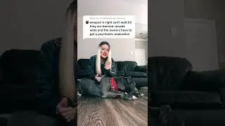 Well-Trained XL American Bullies Deserve Respect