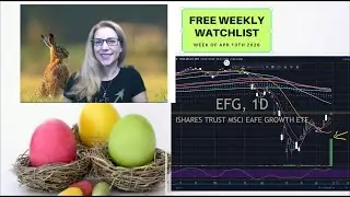 Live Stock Watchlist $SPY $QQQ  $TUP $CHWY and Live questions answered