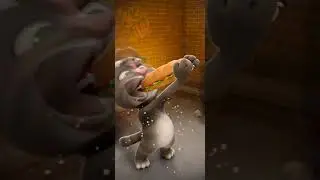 Talking Tom Cat New Video Best Funny Android GamePlay #11755