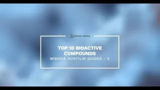 Mimosa Hostilis Guides 3 - Top 10 Bioactive Compounds - MHRB, Inner Root Bark, Shredded, Whole Bark