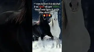 #shorts #motivation #attitude #whatsappstatus #success #sayari #status #reels #shortsfeed#viral
