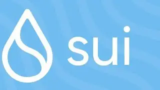 SuiSwap  testnet (devnet) tutorial video on Sui Blockchain