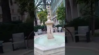 feeding the fountain