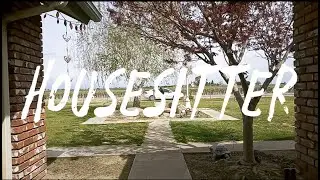 Housesitter (A Short Film)