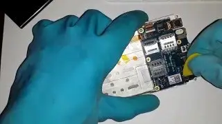 Разборка Lava Iris X8 / MyPhone My31