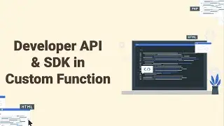 Developer API & SDK in Custom Functions