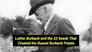 The 23 Seeds That Changed Everything: Luther Burbank&rsquo;s Potato Miracle