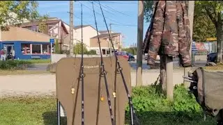 Pêche de la carpe en rivière 