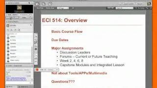 ECI 514 Virtual Meeting I