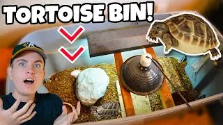 DIY Russian Tortoise Enclosure! *Tips and Tricks*