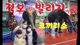 제주 점보빌리지 코끼리쇼