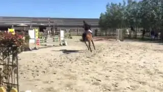 Janne en citra
