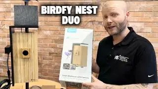 Обзор Birdfy Nest Duo: умный скворечник с внутренней камерой, версия 2026 года.