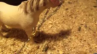 MOV00851