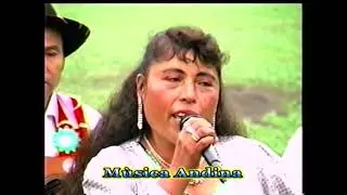 YANAMINA DE ORO (LA CULPA NO TENGO YO) MUSICA ANDINA DE ANCASH
