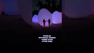 teamLab Botanical Garden Osaka #osaka #teamlab
