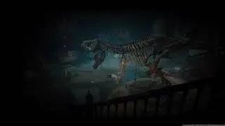 TOMB: 💢 Pt. 21 703-715 No Jug NG WS 💥 WR
