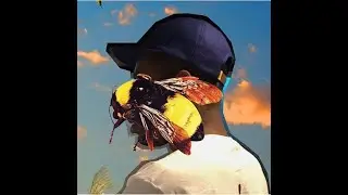 [FREE] TYLER THE CREATOR x JAZZ FUSION TYPE BEAT - 