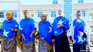Habar yahuud
