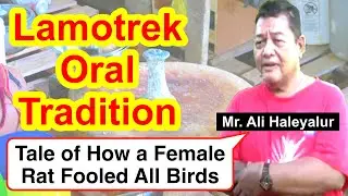 Tale of How a Female Rat Fooled All Birds, Lamotrek