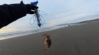 Dungeness Crabbing at Ocean Beach | 2026-01-20