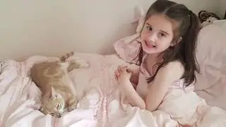 For one little girl, Remi was the robot cat she'd always wanted, come to life