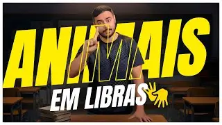 Aprenda TODOS OS ANIMAIS em LÍNGUA DE SINAIS – LIBRAS