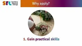 Part-Time courses | New year, New knowledge, New You