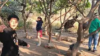Jungle Trail - New Picnic Spot in Noida, Fun Park 