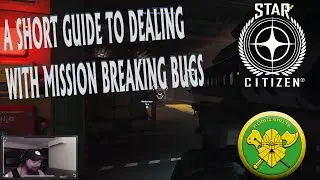Dealing with bugs in Star Citizen.