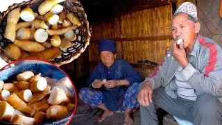 jungle man family cooking Squash Roots and Eating snack || @junglefamilycooking