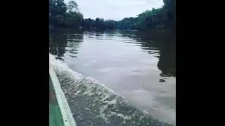 Rio chucunaque Darien Panam&aacute;