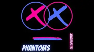 Beebotronix Phantoms